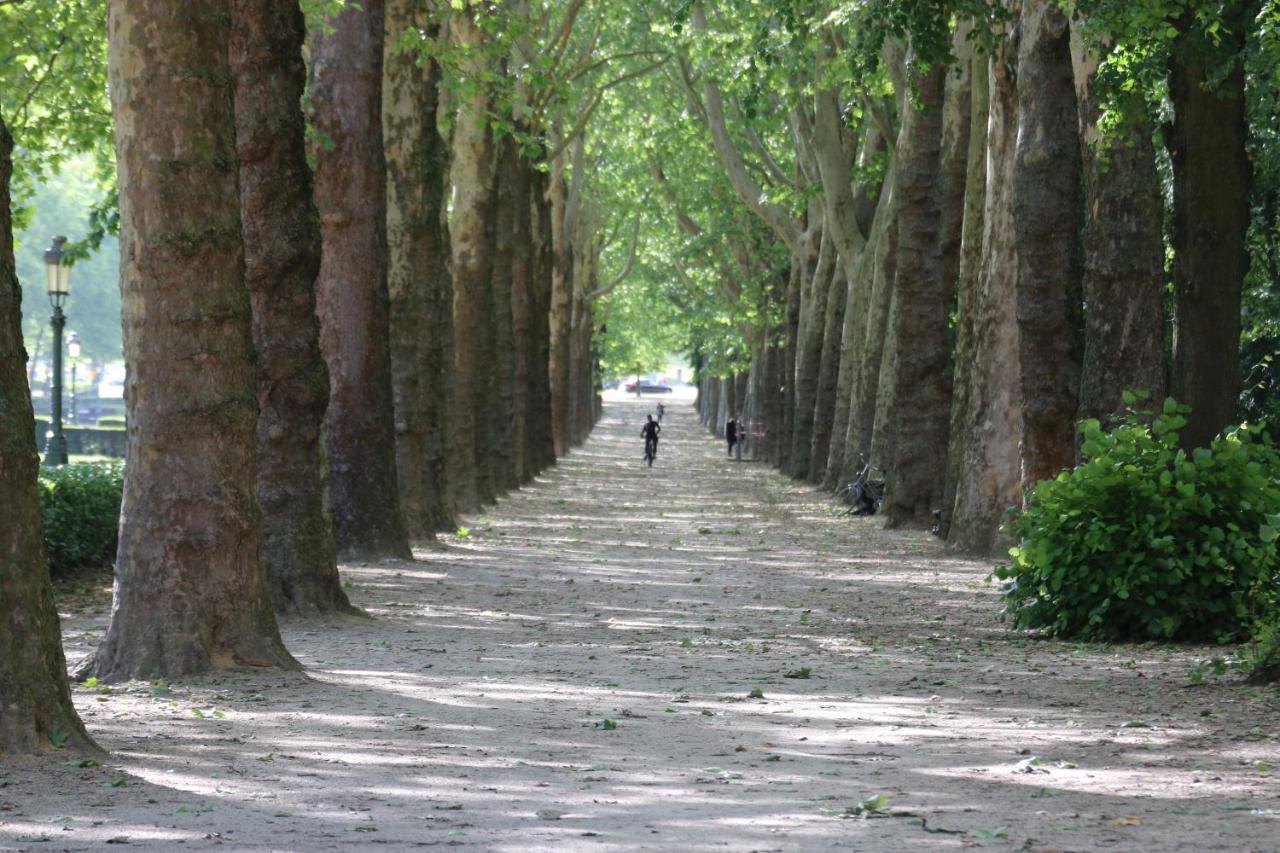B&B Les Iris Βρυξέλλες Εξωτερικό φωτογραφία